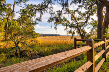 Fence with a costal landscape background