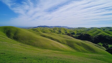 Naklejka premium Rolling green hills, sunny day, coastal view, pastoral landscape, travel brochure