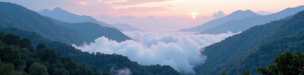 Obraz premium Dense Fog in a Mountain Valley, dense fog, treacherous terrain, natural wonder