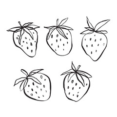 set of strawberry line art vector illustration hand drawn doodles with leaves 