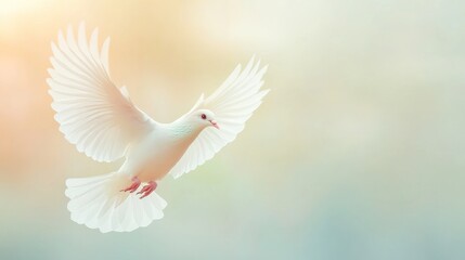 Obraz premium White dove soaring, peaceful nature background, hope, spirituality