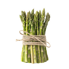 Bundle of Green Asparagus Tied with String Isolated on Transparent or blank Background, PNG