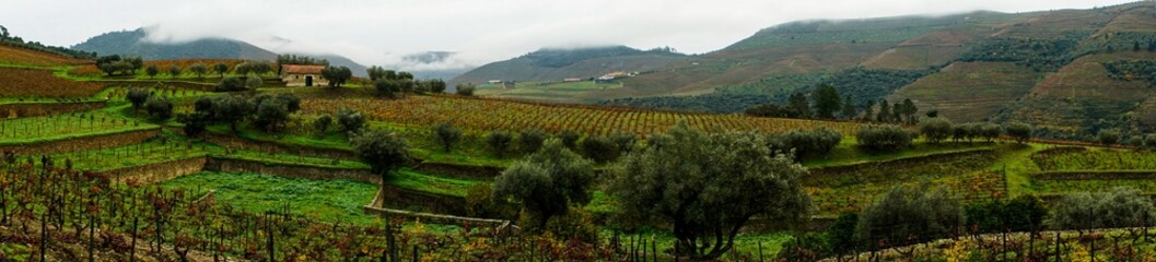 180 degree scenic  panorama view  of Douro valley and its famous terraced vineyard in Portugal