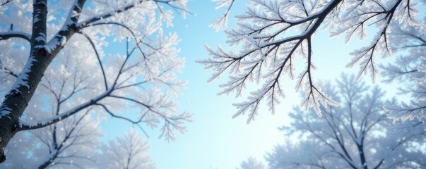 Frosty limbs outstretched against pale blue sky, calm, tree branches