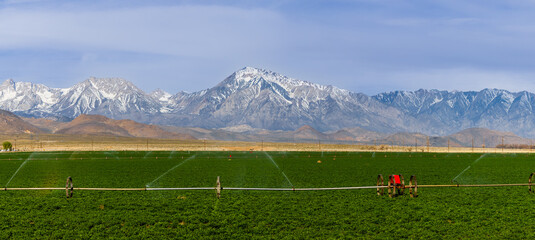 Panoramic view of Sierra mountains and sfields near Bishop,California. © SNEHIT PHOTO