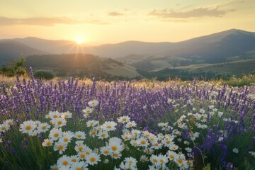 Fototapeta premium Wildflower meadow with mountains under golden sunset
