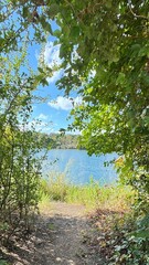 Naklejka premium river in the woods