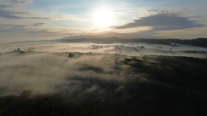 Point of view drone flying above the trees with fog above with sunlight penetrating the trees, with...