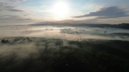 Point of view drone flying above the trees with fog above with sunlight penetrating the trees, with a sunrise background and clouds and a row of hills