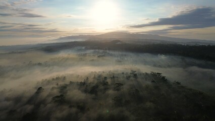 Point of view drone flying above the trees with fog above with sunlight penetrating the trees, with a sunrise background and clouds and a row of hills
