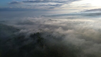 Drone view of hills with forests and trees with morning mist above with a mountainous background in the morning