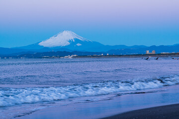 湘南海岸から夜明けの紅富士