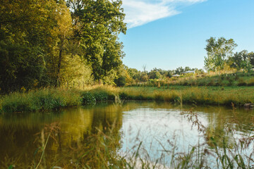 Peaceful pond on a blue sky summer day