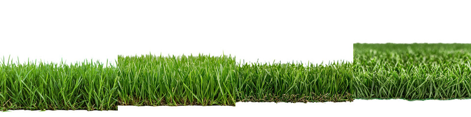 Vibrant Green Grass Field with Lush Vegetation in Natural Environment