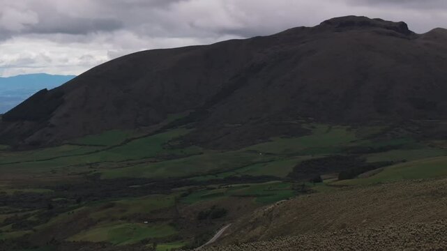 Aerial video of Espeletia Frailejones plants in a field with hills in the background. Ecuador
