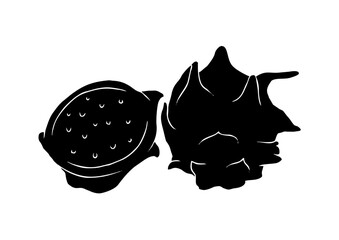 dragon fruit silhouette