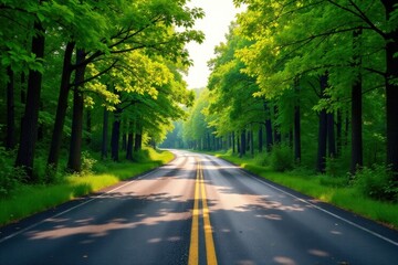 Fototapeta premium A Serene Drive Through Lush Green Foliage, Sunlit Asphalt Road Winding Through a Canopy of Trees, Peaceful Countryside Scenery