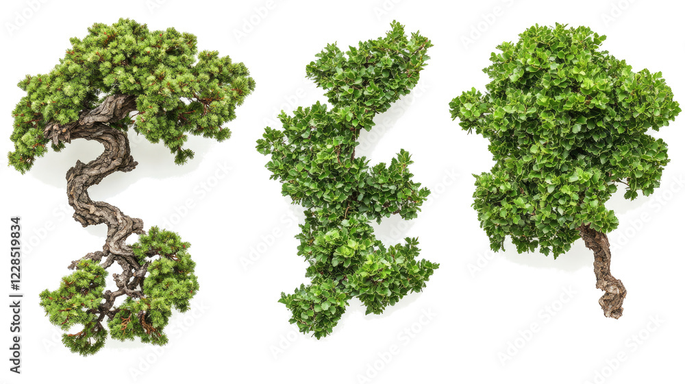 Poster green tree branches on transparent background generative ai
