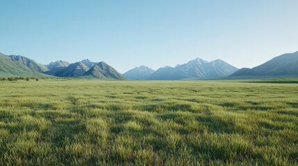 Fototapeta premium Vast Mountain Valley Meadow