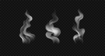 Vector realistic white, wavy mist, hot food steam, cigarette smoke. Set of fog, haze, insence smoke isolated on transparent background