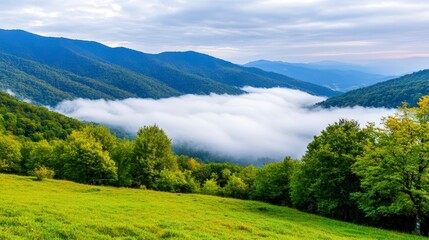 Obraz premium Lush Green Mountains with Fog Rolling Through the Valley at Sunrise
