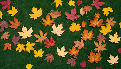 Colorful autumn leaves scattered on lush green grass