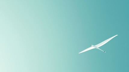 Fototapeta premium Tranquil Scene of a White Bird Gliding Against a Soft Blue Background