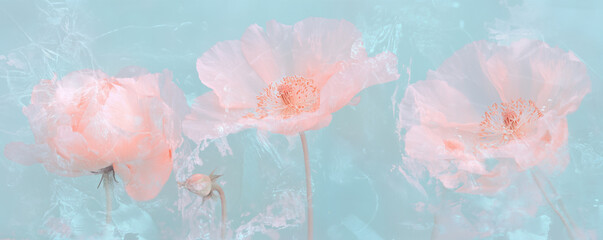 Abstract background with flowers, floral wallpaper