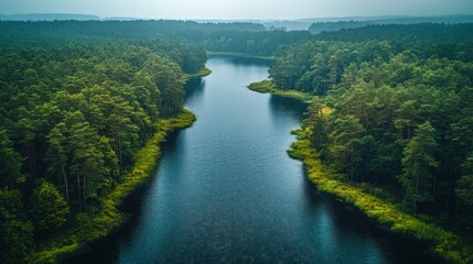 Aerial View of a Serene River Flowing Through a Dense Forest on a Cloudy Day