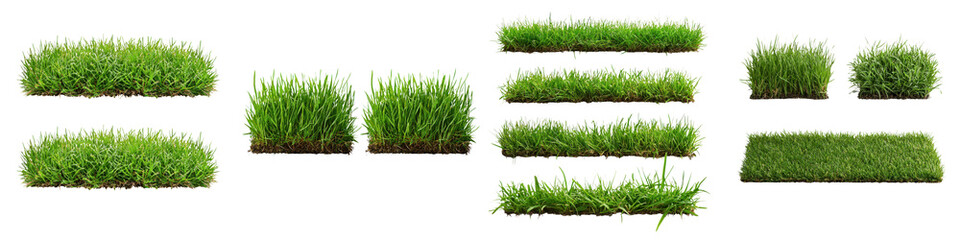 Vibrant Green Grass Lawn in Natural Outdoor Landscape Setting