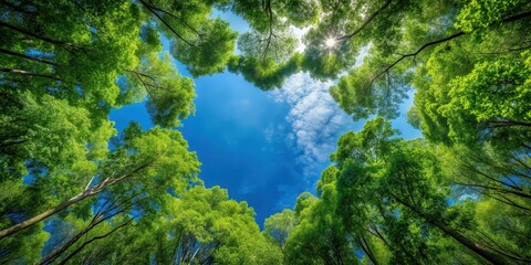 Fototapeta premium Natural forest canopy with a distinctive heart-shaped opening in its center, revealing a brilliant blue sky above , hole, green, hole