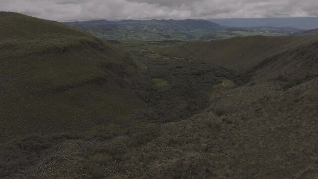 Aerial video of Espeletia Frailejones plants in a field with hills in the background. Ecuador
