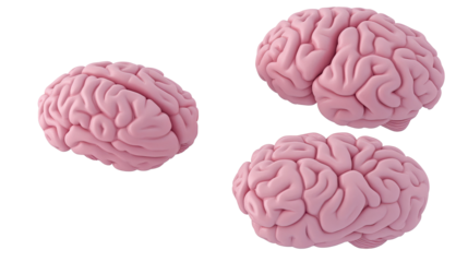 Pink Human Brains on Clear Background Generative AI