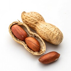 Top view of peanut nut isolated on a white background.