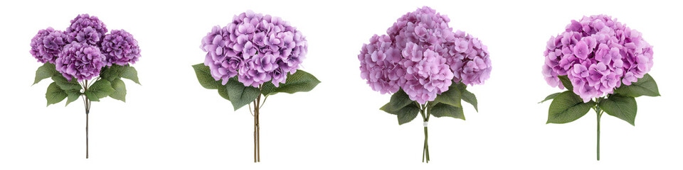 Captivating purple hydrangea blooms with their lush leafy stems create a stunning floral arrangement exuding a serene and romantic ambiance  The vibrant
