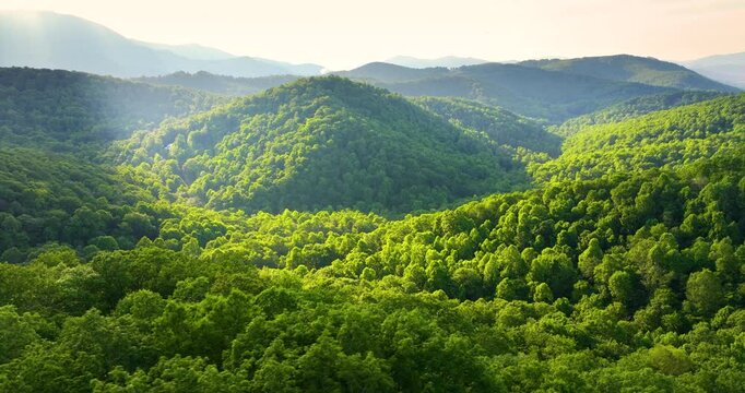 Great Smokey Mountains at sunrise in summer season. Mountain wooded hills in North Carolina Appalachians, USA