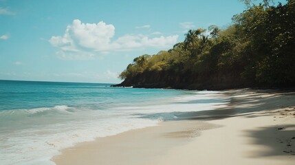 Fototapeta premium Secluded beach with turquoise water and a lush green coastline on a sunny day