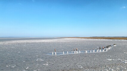 The Delaware Bay is Frozen near Cape May, NJ