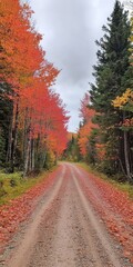 Obraz premium Autumn Road Through Vibrant Red And Green Trees