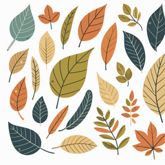auntumn dry leaf illustration