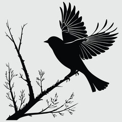 a bird landing on a branch silhouette vector design art and illustration
