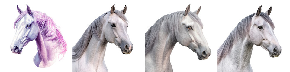 Obraz premium Magnificent Equine Portraits A collection of breathtaking images showcasing the grace power and beauty of horses in their natural settings