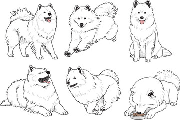 様々なポーズのサモエドの手書きイラストセット