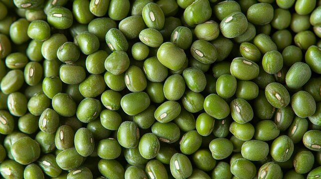 Green Mung Beans Close-Up Texture Food Background.