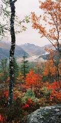 Autumnal Mountain Landscape Vivid Colors Misty Valley
