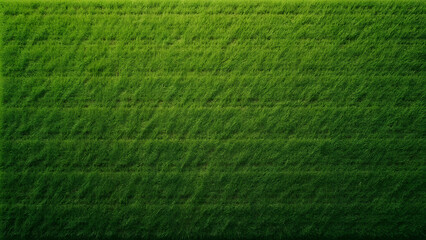 green grass background texture