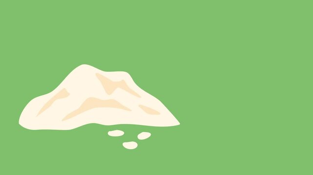 salt illustration video animation