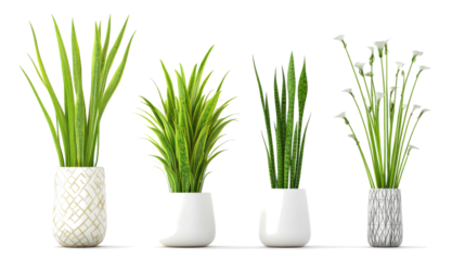 Tropical House Fishtail Palm Plants in Modern Pots Generative AI