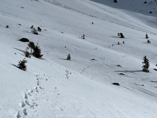 Wonderful winter hiking trails and traces in the fresh alpine snow cover of the Swiss Alps and over the tourist resort of Engelberg - Canton of Obwalden, Switzerland (Kanton Obwald, Schweiz)