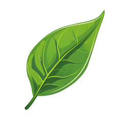 Obraz premium Detailed Green Leaf Illustration with Vivid Texture and Color